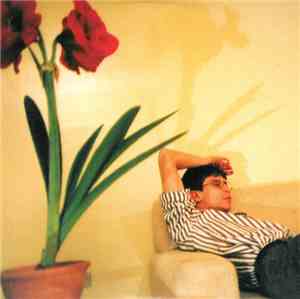Lambchop - Rainer On My Parade