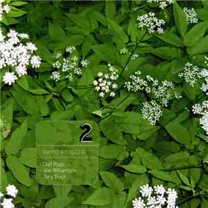 Olaf Rupp, Tony Buck, Joe Williamson - Weird Weapons 2