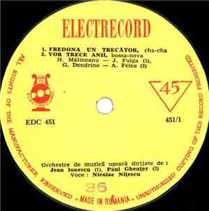 Nicolae Nițescu / Luminița Cosmin - Fredona Un Trecător