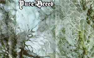 Pure Breed - Purity Prevails