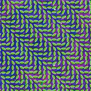 Animal Collective - Merriweather Post Pavilion