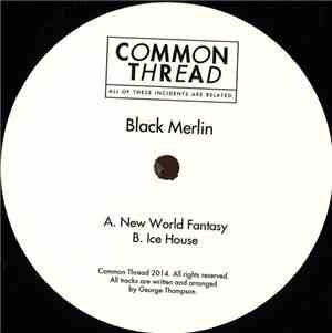 Black Merlin - New World Fantasy / Ice House