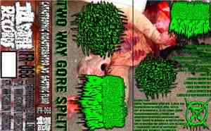 Gastric Fluid / Catastrophic Disasterbator - Gastric Fluid / Catastrophic Disasterbator