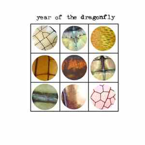 Year Of The Dragonfly - Pupil