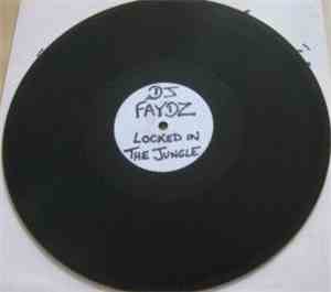 DJ Faydz - Locked In The Jungle