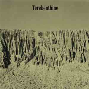 Térébenthine - Térébenthine