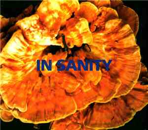 In Sanity - In Sanity