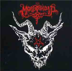 Morbosidad - Morbosidad