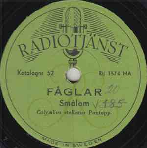 No Artist - Fåglar