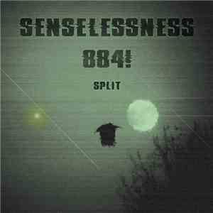 senselessness / 884! - Split