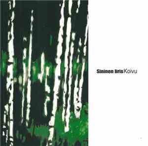 Sininen Iiris - Koivu