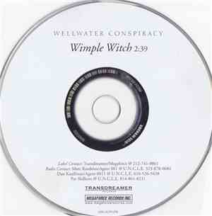 The Wellwater Conspiracy - Wimple Witch