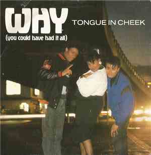 Tongue In Cheek - Why (You Could Have Had It All)