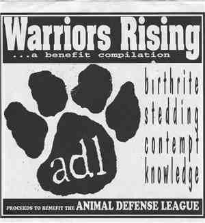 Various - Warriors Rising
