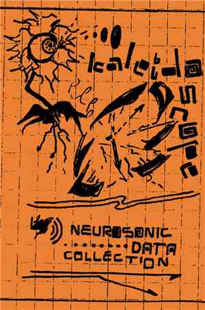 Kaleidoscope  - Neurosonic Data Collection