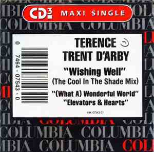 Terence Trent D'Arby - Wishing Well