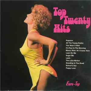 Unknown Artist - Top Twenty Hits