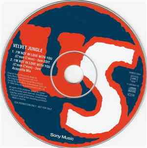 Velvet Jungle - I'm Not In Love With You (C'mon C'mon)