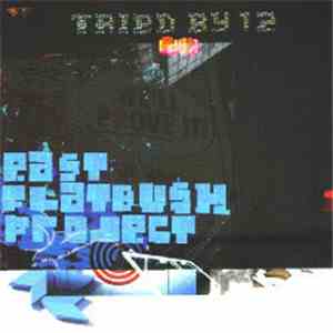 East Flatbush Project - Tried By 12 (Remixes)
