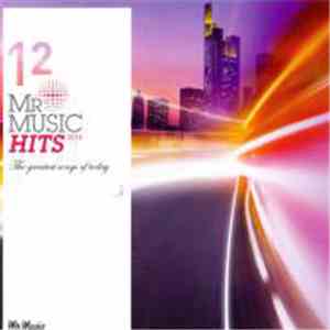 Various - Mr Music Hits 2010 12