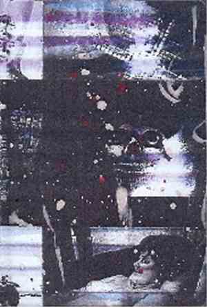 Fossils - Bohemian Grove