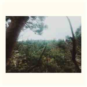 The Echo Field - The Echo Field