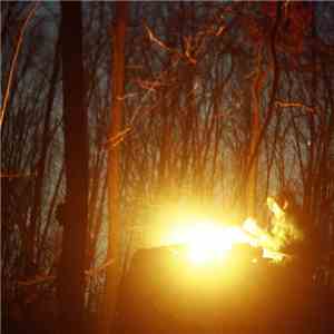 You You Dark Forest - Arms of the Earth
