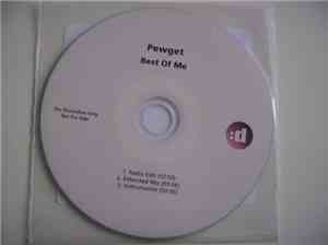 Pewget - Best Of Me