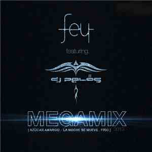 Fey Singer DJ Pelos - Megamix 2013