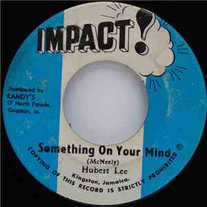 Hubert Lee - Something On Your Mind