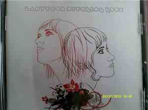 Ladytron - Witching Hour
