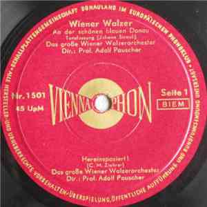 Das Große Wiener Walzerorchester - Wiener Walzer