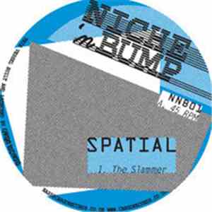 Spatial  - The Slammer