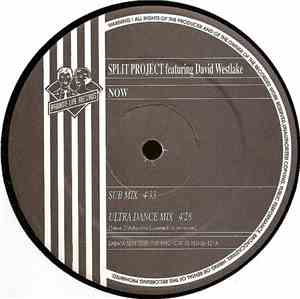 Split Project Featuring David Westlake - Now