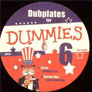 Various - Dubplates For Dummies Vol. 6