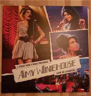 Amy Winehouse - I Told You I Was Trouble