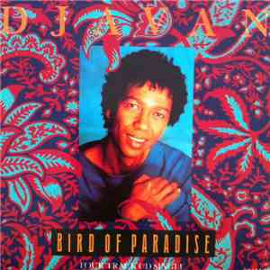 Djavan - Bird Of Paradise