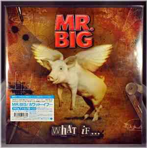 Mr. Big - What If...