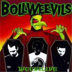 Bollweevils - Weevilive