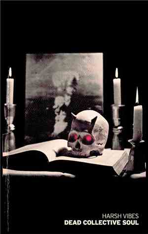 Harsh Vibes  - Dead Collective Soul