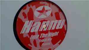 Hannu - Into The Night