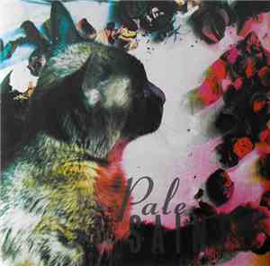 Pale Saints - The Comforts Of Madness