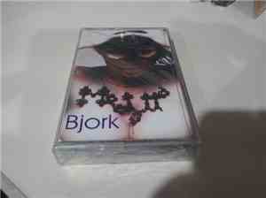 Björk - Medúlla