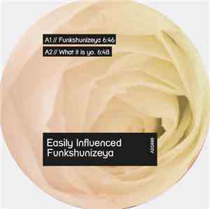 Easily Influenced - Funkshunizeya