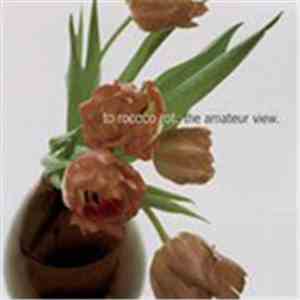To Rococo Rot - The Amateur View