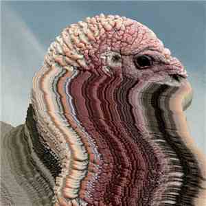 Holy Fuck - Bird Brains