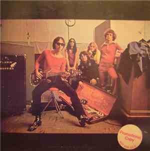 The Flamin' Groovies - Teenage Head