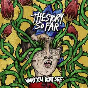 The Story So Far  - What You Don't See