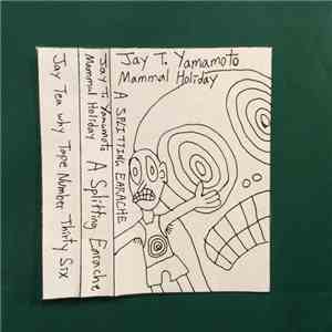 Various - A Splitting Earache