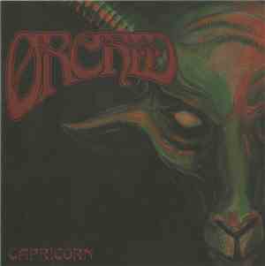 Orchid  - Capricorn